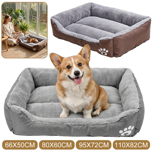 Pet cat dog - dog, beds
