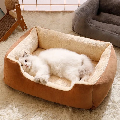 Soft plush dog - plush, bed