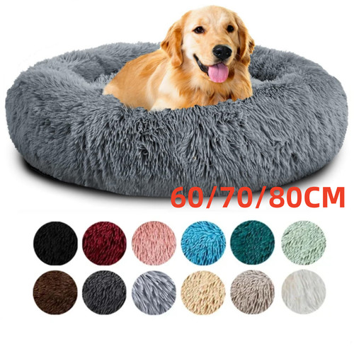New extra large dog - extra,