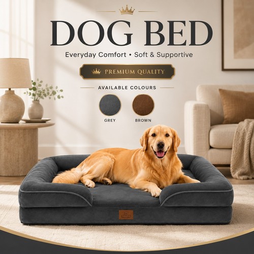 Large orthopedic pet - large,