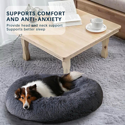 Calming donut dog - dog, bed