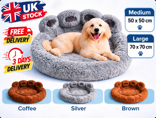 Plush pet cat dog - pet,