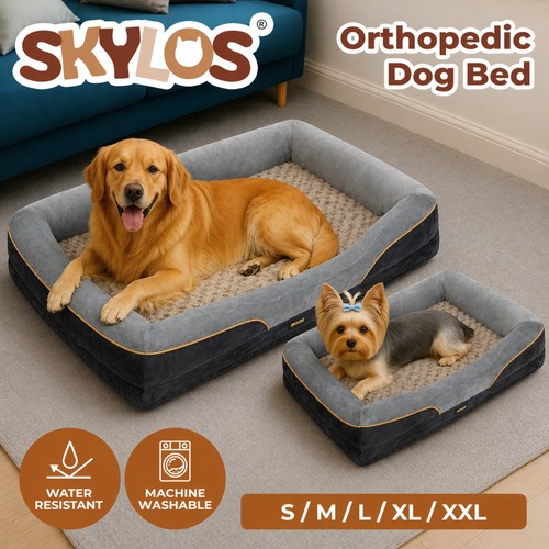 Skylos orthopaedic dog - skylos,