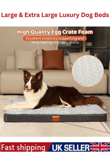 Premium orthopedic memory - premium, foam