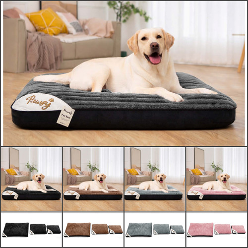 Extra large cat dog - dog, bed