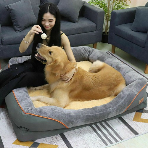 Jumbo memory foam - foam, dog
