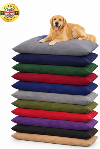 Waterproof dog bed - dog,