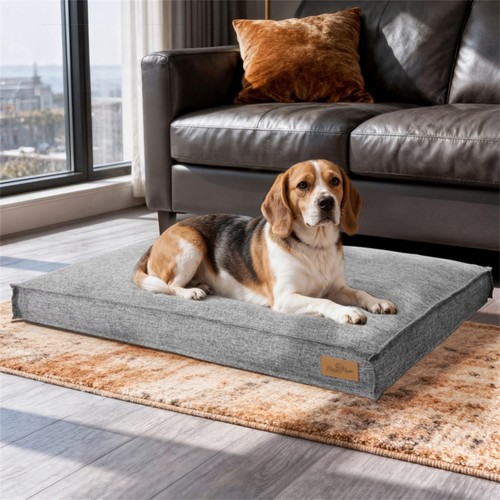 Orthopedic memory foam - dog, bed
