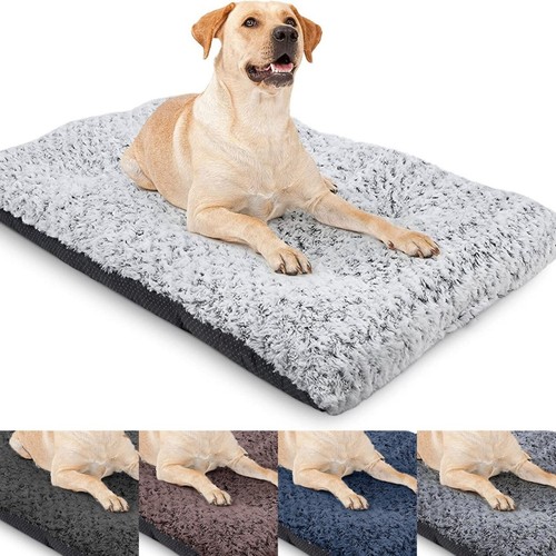 Luxury extra large pet dog - luxury,