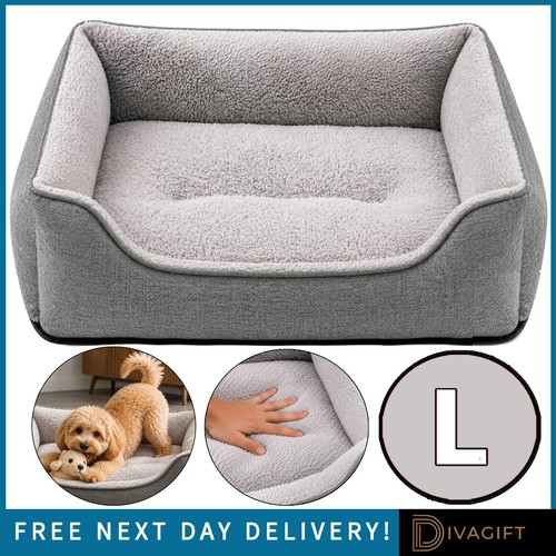 Large grey pet - grey, dog