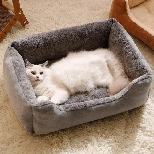 Dog cat pet - bed, warm