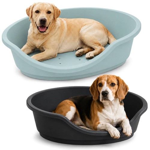 Hard plastic dog cat - plastic, pet