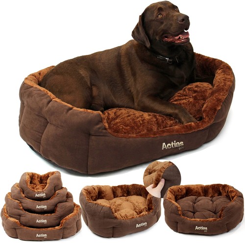 Dog bed pet cat - dog,