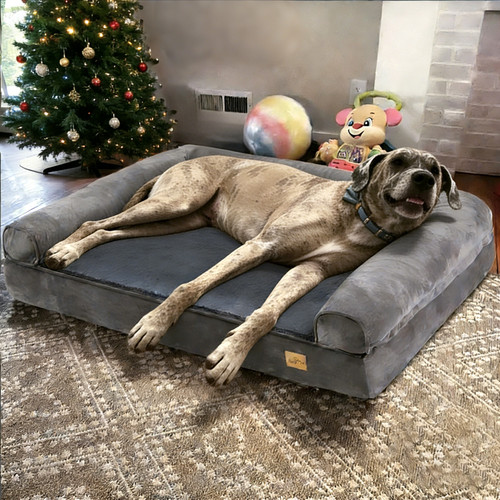 Xxl orthopedic dog bed - xxl,