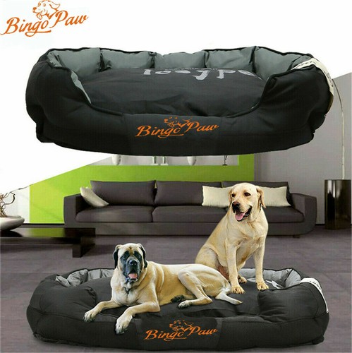 Extra large jumbo orthopedic - ,