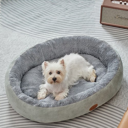 Pet dog bed cat - pet,