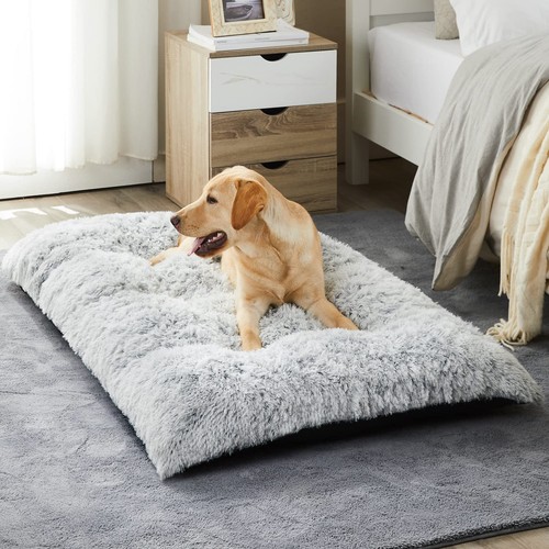 Light grey dog - light-grey, soft