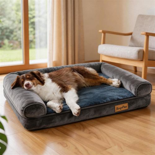 Bingopaw orthopedic dog bed - dog,