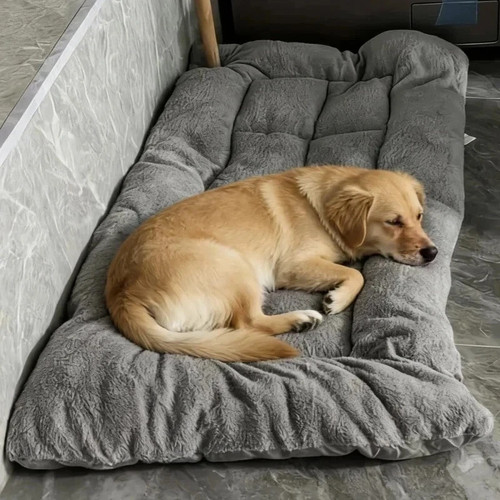 Xxlarge orthopedic memory foam - xxlarge,
