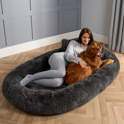 Ohs human size - ohs, dog