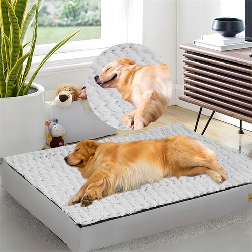 Jumbo memory foam - memory, dog