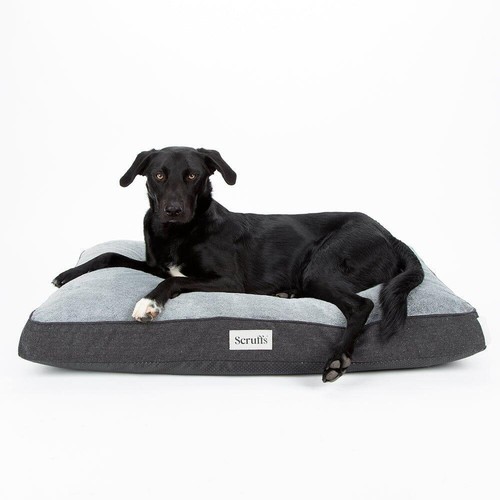 Large dog beds bed memory - large,