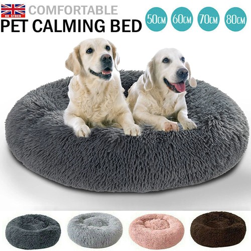 Comfy calming extra - extra, large