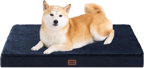 Orthopedic large dog - dog, with