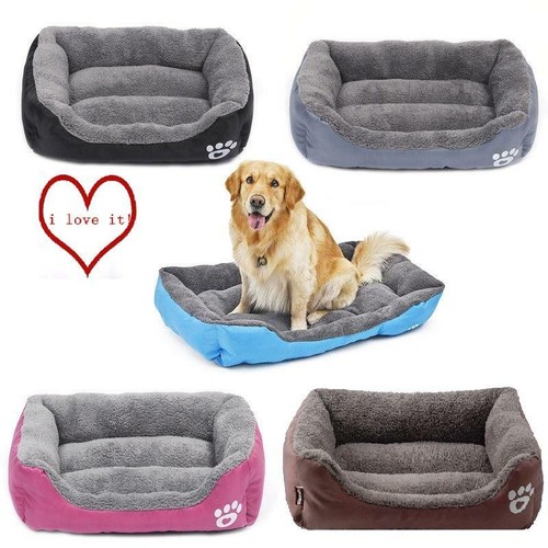Pet bed dog - pet,