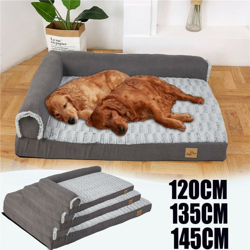 3xl orthopedic dog - dog, memory