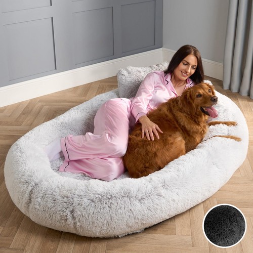 Ohs human size dog - human, bed